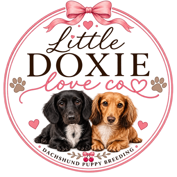Little Doxie Love Co